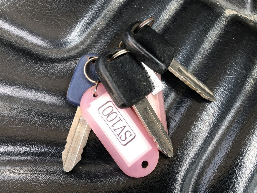 SV100-1-11693