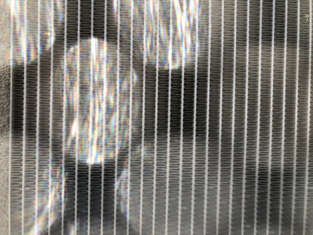 IC55LG-CE009558