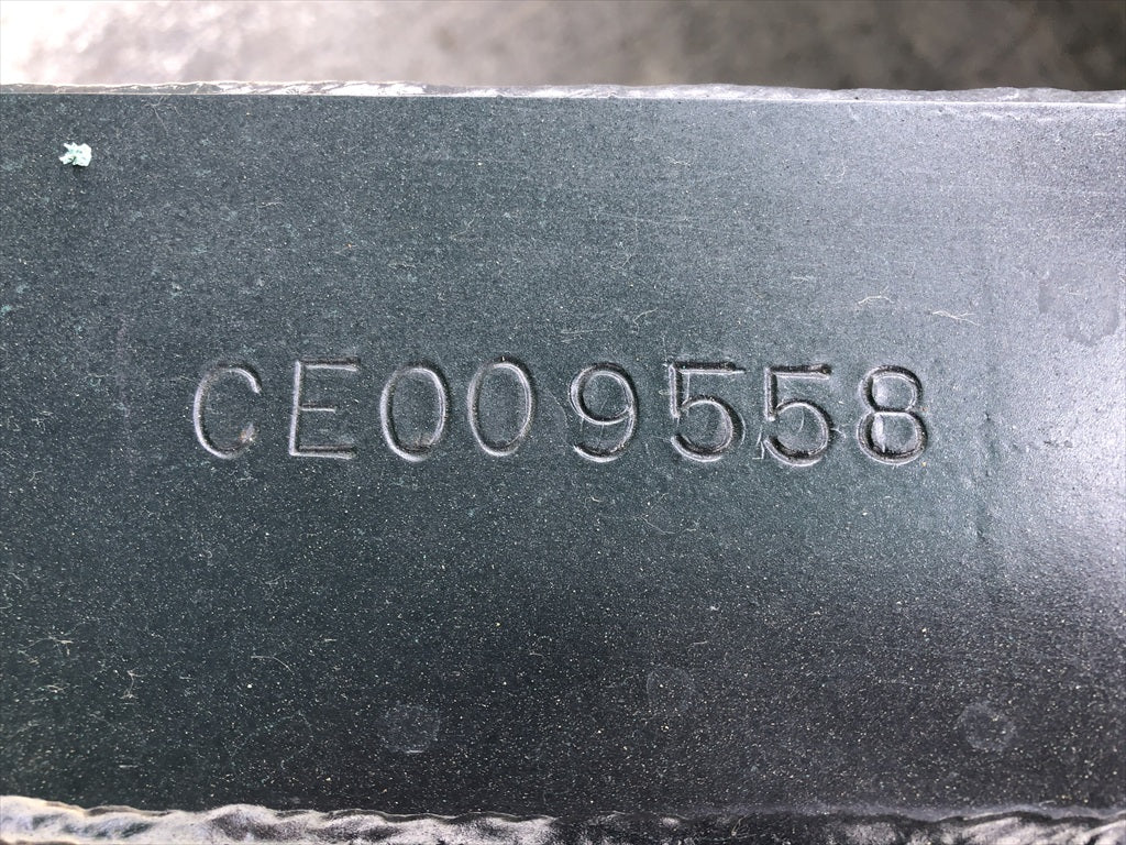 IC55LG-CE009558